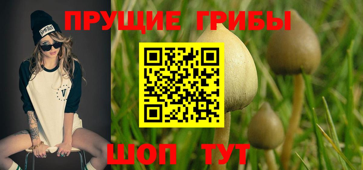 магазин продажи   Псилоцибиновые грибы GOLDEN TEACHER  Чебаркуль  Вход с VPN  Псилоцибиновые грибы ЛСД 