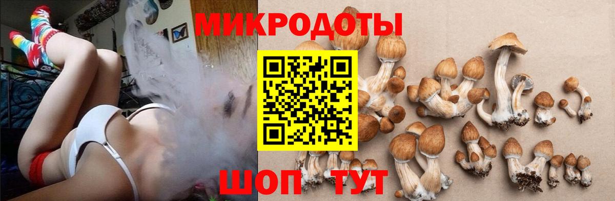 Галлюциногенные грибы Cubensis Чебаркуль
